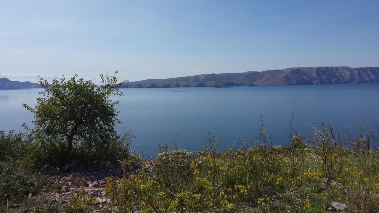 Apartament Dalibor Senj  Zewnętrze zdjęcie