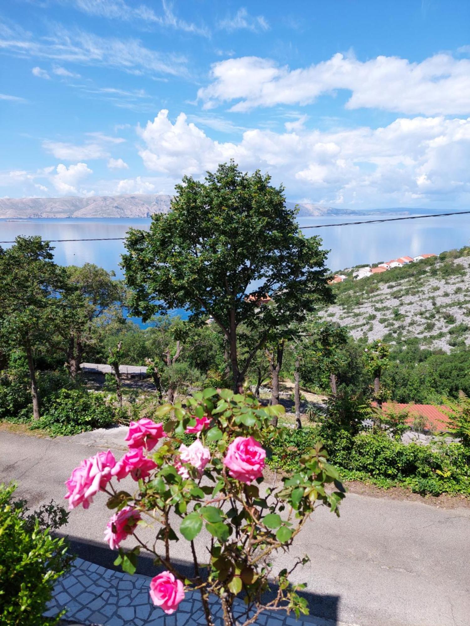 Apartament Dalibor Senj  Zewnętrze zdjęcie