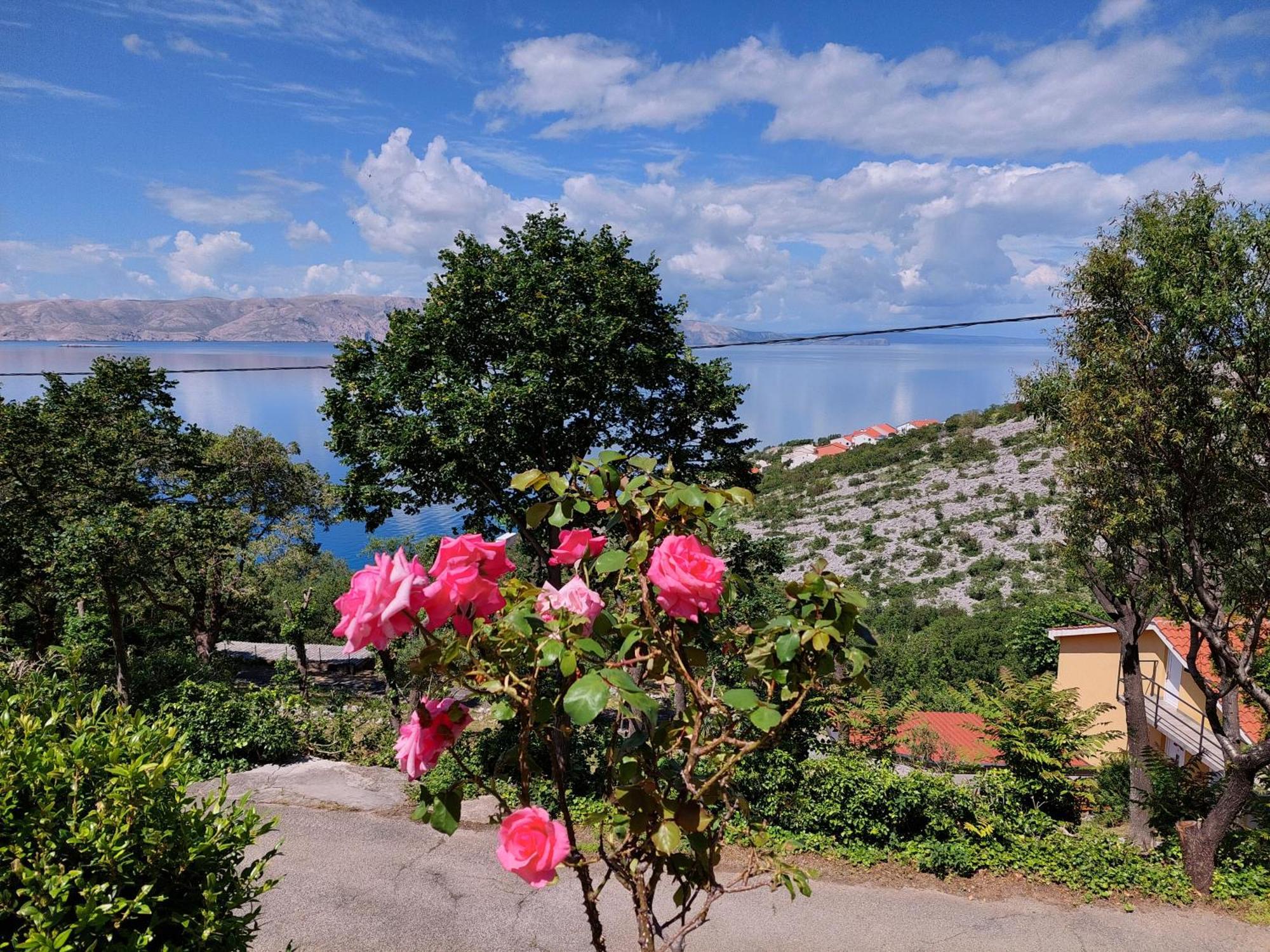 Apartament Dalibor Senj  Zewnętrze zdjęcie
